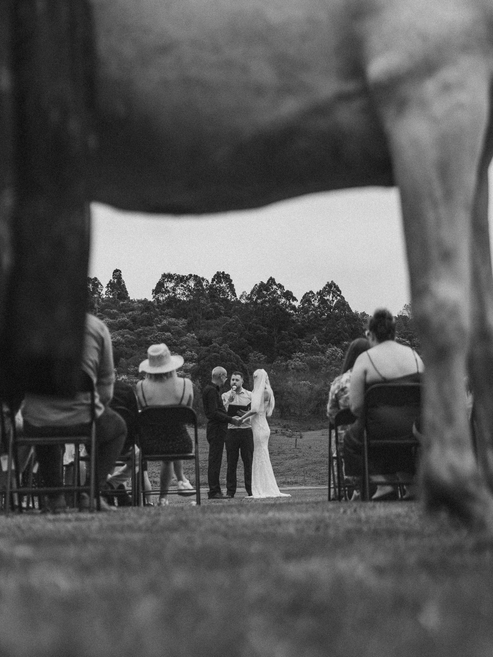From Newcastle to Mandalong - Stepping In When Their Photographer Fell Through (and a Majestic Horse!)
